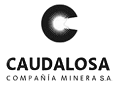 Logo de CIA Caudalosa